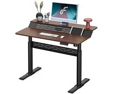 Fenge Scrivania Elettrica a 2 Livelli, Scrivania Regolabile in Altezza 120x70cm con 4 Preselezioni di Memoria, Postazione di Lavoro Ergonomica per Computer (Telaio Nero e Tavolo Marrone)
