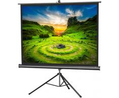 Celexon 1090020 schermo per proiettore 4:3