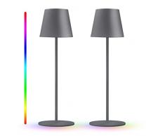 Lampada da Tavolo LED Ricaricabile, Lampada Touch Sense Dimmerabile 8 Colori, Impermeabile IP54 Senza Fili Lampada Comodino per Interni/Esterni, Campeggio, Camera da Letto, Soggiorno (A,Grigio,2pcs)