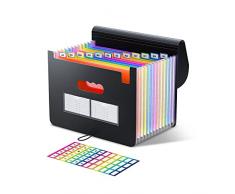 Cartella Portadocumenti A4 con Coperchio, Cartelle Porta Archiviare Documenti con 12 Tasche, Raccoglitori Soffietto Espandibile Faldoni, FSC, Plastica, Multicolore, Scatole Archivio Ufficio Domestico