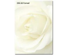 Carta da lettere formato A5, motivo: rosa bianca, 100 fogli, 90g/m²