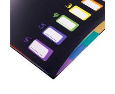 Scriptract - Cartellina portadocumenti espandibile, 13 tasche, formato A4, a fisarmonica, portadocumenti portatile con strato interno colorato per ufficio/scuola/famiglia 6 multicolore