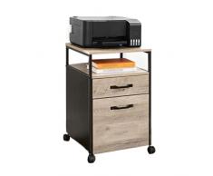 SUNESA Porta Stampante File rotanti in Stile Industriale Stampante Scaffale Cabinet Office Gabinetto su Ruote con 2 cassetti Aprite filettature appese Supporto per Stampante