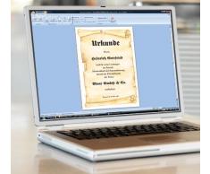 Sigel-Fogli di carta pergamena, formato A4, 100 fogli