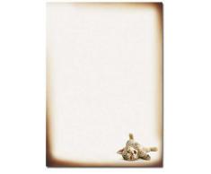 Paper-Media - Carta da lettere, formato DIN A4, motivo: gattino, 20 fogli, 90 g/m²