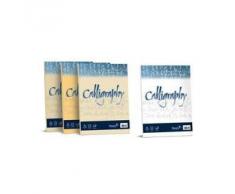 Carta pergamena Calligraphy Pergamena Liscio Favini oro fogli A4 90 g A69W204 (conf.50)