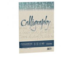 Favini A69U084 Calligraphy Pergamena Liscio