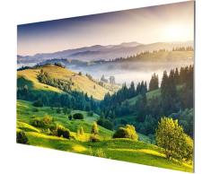 Celexon Expert schermo per proiettore 16:9