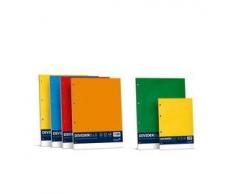 FAVINI - SEPARATORE 15X21 10FG CARTONCINO COLORATO 220GR DIV