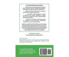 Eleganza Esplosiva: Ventilatori Atex Per Polveri Negli Impianti Di Taglio, Sbavatura E Finitura Dell'alluminio: Volume 2