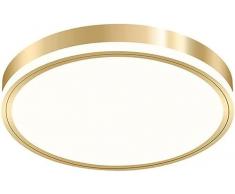 LTBFDDC Plafoniera da incasso a LED rotonda moderna nordica postmoderna Lampada da soffitto con finitura oro creativa Paralume in acrilico vicino alle plafoniere Lampadario
