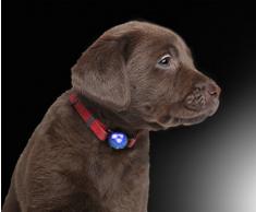 Collare per cani in silicone luminoso a sospensione LED PRECORN in blu incandescente per cani, gatti