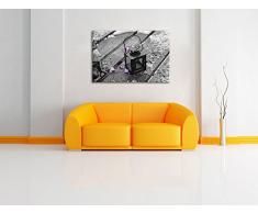 Lanterna con fiori sotto la pioggia nero / bianco Dimensioni: 80x60 su tela, XXL enormi immagini completamente Pagina con la barella, stampa d'arte sul murale con telaio, più economico di pittura o un dipinto a olio, non un manifesto o un banner,