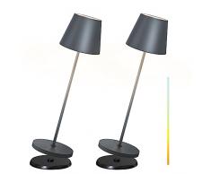 RWWR 2 Pezzi Lampada da Tavolo Senza Fili Con Stazione di Ricarica, Dimmerabile 2700-6000k Lampada da Tavolo LED Ricaricabile IP54 Impermeabile Lampada Touch Adatto per uso interno ed esterno