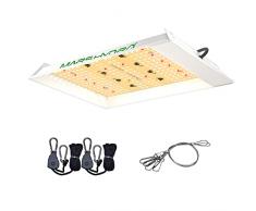 MARS HYDRO TS600 Lampada da Coltivazione 100W, Spettro Completo UV IR per Lampada per Piante Indoor, Semi, boccioli e Verdure, per 45 x 45 cm, 60 x 60 cm