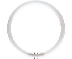 Philips TL5-C Pro Lampada Fluorescente, 55 Watt, Luce Bianca Naturale (840)