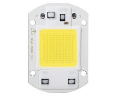 Lampada a chip LED, lampadina a chip LED, chip a LED ad alta potenza per illuminazione spot di illuminazione paesaggistica(30W, bianco)