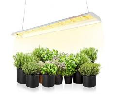 SPIDER FARMER SF600 Lampada da coltivazione per piante indoor Spettro solare Completo per Germinazione Vegetativo Fioritura Idroponica con 384 LED