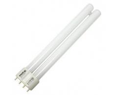 Philips 26018540 - Lampada per insetti
