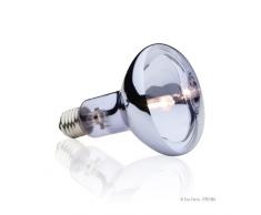 Exo Terra PT2181 alogena Basking spot