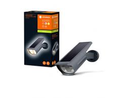 LEDVANCE ENDURA GARDEN SOLAR SPOT WALL&SPIKE 29,5cm - Luce solare ricaricabile per esterni, applique o luce da giardino, 0,5W, 3000K bianco, 55 lumen, grigio scuro