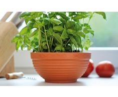 Ciotola fioriera di plastica per piante DMS diametro 22,5 cm, colore: terracotta