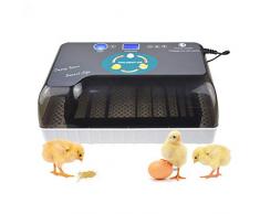 Calayu - Macchina da cuocere professionale con cuociuova digitale completamente automatica, da 9 a 35 polli, con indicatore LED e regolazione della temperatura