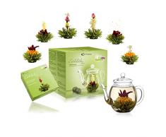 Creano - Fiori di tè Set Regalo con teiera di Vetro 500ml e tè Verde aromatizzato alla Frutta (6 varietà di Fiore di tè), con Sfere Che Si trasformano in Fiori, Idea Regalo per Natale