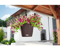 Vaso in Resina per Piante Lechuza Nido Cottage Set Completo - CAFFE'