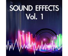 Cocktail Shaker (Shaking Shake Mixing Beverage Drink Bartender Noise Sfx Sound Effect Bite Clip Fx)