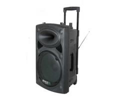 Ibiza Port15VHF-BT Impianto audio portatile cassa attiva (800 Watt, ingressi USB SD MP3, 2 microfoni, cuffie, batteria integrata, radio, telecomando) - nero