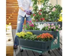 VASO ORTO DI BAMA COCCIO SET Pz.3 80x74 h.73 BAMA [BAMA ]