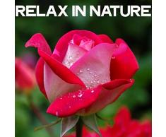 Telecomandiamo La Pasta Nella Pentola