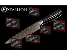 Stallion Damasco Coltello Damasco Wave Big Chefs Knife - Coltello con lama di 22cm in acciaio damasco in nobile confezione regalo