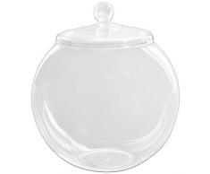 musykrafties 5.9 Pollici Vetro TERRARIO Contenitore Pentola per Biscotti Barattolo con Coperchio - 7.9" Height, 1.6L