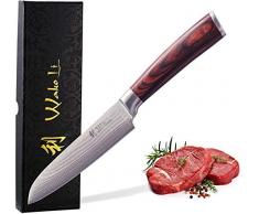 Wakoli EDIB coltello damasco piccolo santoku con lama da 12 cm realizzata in 67 strati con nucleo in VG10 I Coltello da cucina professionale in acciaio damasco giapponese I Manico in legno di Pakka
