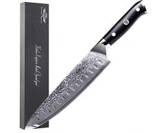 Kitchen Emperor Coltelli da Chef, Coltello da Cucina,coltelli Professionali Damasco 67 Strati con Impugnatura G10