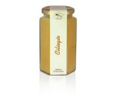 Apicoltura Cazzola - Miele di Ciliegio - Vasetto da 350 g