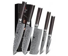 XINZUO 5 Pezzi Set di Coltelli da Cucina, 67 Strati Acciaio Damasco Set di Coltello Chef, Professionale Coltello Chef Santoku Nakiri Universale Frutta-Manico in Legno di Pakka- He Serie