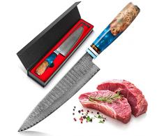 Home Safety Coltello da Cucina Damasco Coltelli da Chef 20cm Professionale Damascus Acciaio con Ergonomico Blue Resin Handle