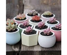 MNYHY Vaso di Fiori Ceramica Pentola in Gres Porcellanato Traspirante Lavabo Vaso in Porcellana Bianca Fiore Succulento 6 * 5Cm Sei Colori,White