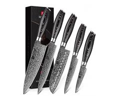 XINZUO Set di Coltelli Damasco 5 Pezzi Coltello Chef 20cm Coltello Santoku Coltello per Affettarecm Multiuso 13cm Coltelli Frutta 67 Strati VG10 Damasco Acciaio Giapponese Set di Coltello da Cucina