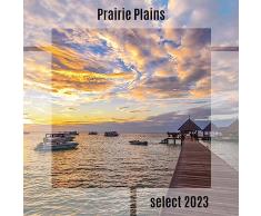 Scaldapiatti (Pitch-4)