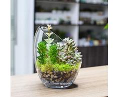 KNIKGLASS Vaso in vetro trasparente, ciotola a bolle di taglio inclinato, ciotola di pesce e terrario per piante, vaso rotondo per fiori, confezione da 1 (17,8 cm di altezza 14 cm di larghezza)