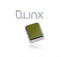 Charm magnetico CLIX - Bonsai Square