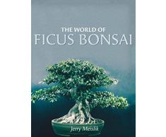 The World of Ficus Bonsai