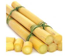 100 pz semi di canna da zucchero - piante rustiche a base di erbe per vasche,Saccharum officinarum,serie di piante rare, vaso bonsai di frutta esotica regalo del giardino delle erbe