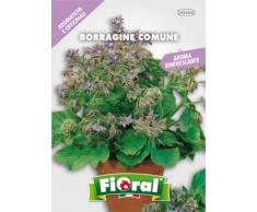 Sementi di piante aromatiche e officinali in bustina ad uso amatoriale (BORRAGINE)