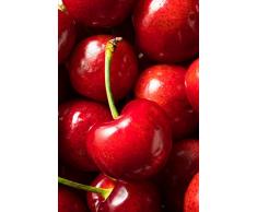 pianta di Ciliegio albero di ciliegia varietà Lapins in vaso Età 2 anni pianta vera di ciliegio venduta da eGarden.store