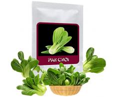 Lattuga asiatica Pak Choi 100 semi (Brassica rapa) - la verdura perfetta per la cucina asiatica